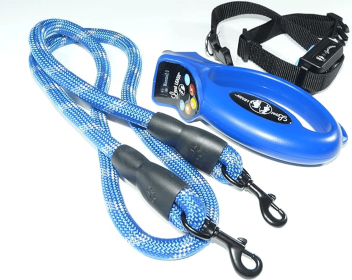 Loyal Leash: The World's Premier E-Leash Innovation