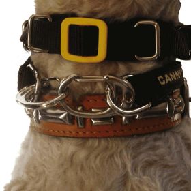 Canny Carabiners for Effortless Off-Leash Dog Walking