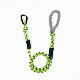 Junction 10MM Kernmantle Rope Dog Leash with D-Shaped Carabiner