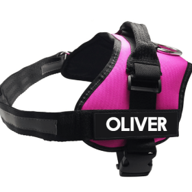 Ultimate Pet Adventure Chest Harness And Leash Set