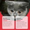 Yegbong Pet Dietary Supplement, Take Care Of The Pet Body Discomfort Cat To Absorb Nutritional Supplements