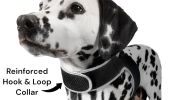 Wireless Pet Surveillance with Mini Rechargeable Dog GPS Locator Tracking Device Size:L