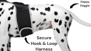 Waterproof Mini GSM GPS Cat/Dog Tracking Tag Rechargeable Pet Tracker Size:XS