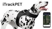 NEW GPS/GSM/GPRS Waterproof Pet Tracker for Realtime Dog Cat Tracking Size:L