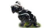 NEW GPS/GSM/GPRS Waterproof Pet Tracker for Realtime Dog Cat Tracking Size:L