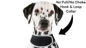 Affordable Realtime Waterproof GPS GSM GPRS Tracker for Your Pet Dog Size:M