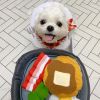 Sniff 'N' Chow Breakfast Hide-And-Seek Dog Toy