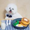 Sniff 'N' Chow Breakfast Hide-And-Seek Dog Toy