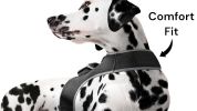 Precise Realtime Dog Tracking GPS GSM System Collar Mount Pet Tracker Size:M