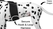 Inexpensive Dog Security Surveillance Pocket GPS Pets Tracking Device Size:XXL