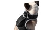 Affordable Realtime Waterproof GPS GSM GPRS Tracker for Your Pet Dog Size:M