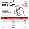 Waterproof Dog Collar 10 - 16 in Neck x 4/5 in Wide Plastic Buckle Adjustable Dog Collar for Large Small and Medium Dogs Breakaway Dog Collar Waterpro