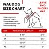 Waterproof Dog Collar 12in - 19in Neck x 1in Wide Metal Buckle Adjustable Dog Collar for Large Dogs Small and Medium Dogs Heavy Duty Dog Collars with
