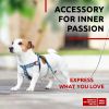 Nylon Dog Leash for Small Dogs Medium Dogs 4 Ft Strong Dog Leash for Large Dogs Heavy Duty Dog Leashes for Large Breed Dogs & Puppy Leash for Small Bo