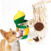 Boredom Buster Dog Toy: Instant Noodles Energy Reliever
