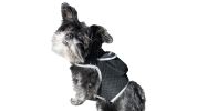 NEW GPS/GSM/GPRS Waterproof Pet Tracker for Realtime Dog Cat Tracking Size:L