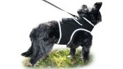 NEW GPS/GSM/GPRS Waterproof Pet Tracker for Realtime Dog Cat Tracking Size:L
