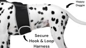 Precise Realtime Dog Tracking GPS GSM System Collar Mount Pet Tracker Size:M
