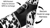 Long Range Tracking Pet Tracker GSM GPS Tracking Collars for Hunting Dogs Size:XS