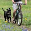 Ultimate Pet Companion: Detachable Dog Walker And Bicycle Traction Harness