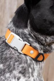 Crimson Glow Waterproof Nylon Dog Collar (Pack Of: 1, size: 15 - 17 Inch)
