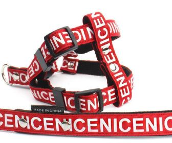 Adventure Paws Nylon Pet Leash And Collar Set (Color: Red, size: M)