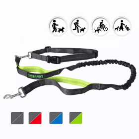 JESPET Hands-Free Bungee Dog Leash with Adjustable Waist Belt and Dual Control Handles (Size-Pack Of: 1'' X 48''-1, Color: Grey)