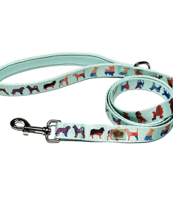 Premium Polyester Dog Leash - 60 Inches, Available in Large and Small Sizes (Size-Pack Of: Large-1, Color: Seafoam)