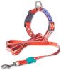 Touchdog 'Trendzy' 2-in-1 Matching Fashion Designer Printed Dog Leash and Collar