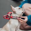 Reflective Full Neck Traction Set For Stylish Dogs
